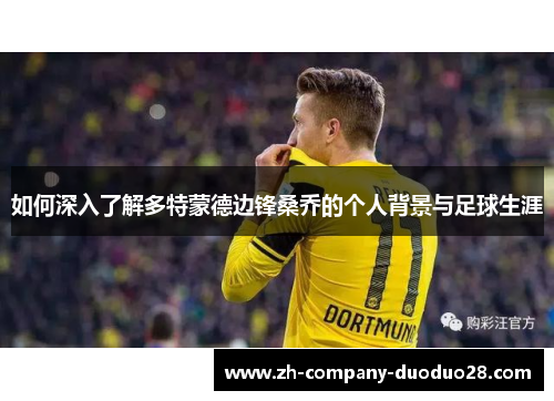如何深入了解多特蒙德边锋桑乔的个人背景与足球生涯 如何深入了解多特蒙德边锋桑乔的个人背景与足球生涯