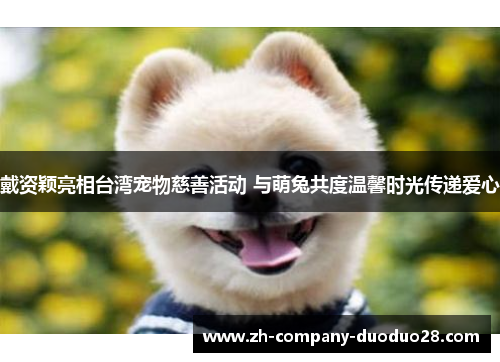 戴资颖亮相台湾宠物慈善活动 与萌兔共度温馨时光传递爱心 戴资颖亮相台湾宠物慈善活动 与萌兔共度温馨时光传递爱心