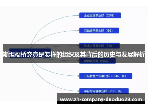 斯坦福桥究竟是怎样的组织及其背后的历史与发展解析 斯坦福桥究竟是怎样的组织及其背后的历史与发展解析