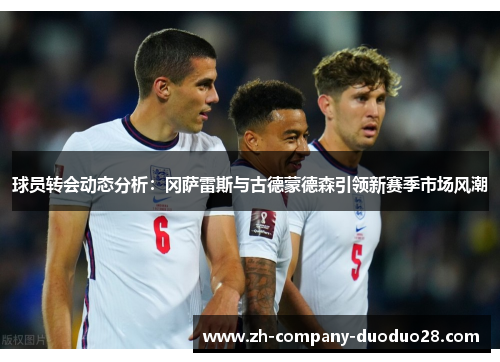 球员转会动态分析：冈萨雷斯与古德蒙德森引领新赛季市场风潮