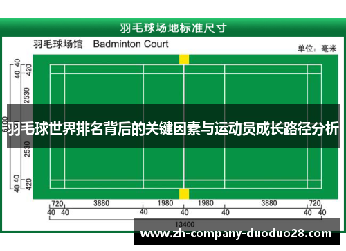 羽毛球世界排名背后的关键因素与运动员成长路径分析 羽毛球世界排名背后的关键因素与运动员成长路径分析