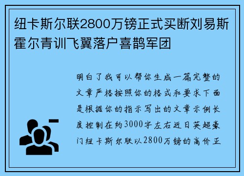 纽卡斯尔联2800万镑正式买断刘易斯霍尔青训飞翼落户喜鹊军团